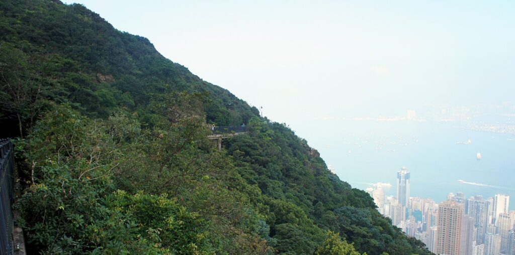 Wooded slope and harbor view from Lugard Road on The Peak